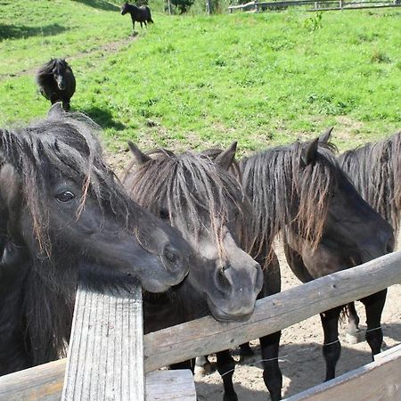 Rezydencja Lesny Dwor Piwniczna-Zdroj Kültér fotó