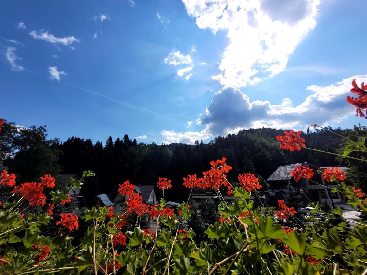 Rezydencja Lesny Dwor Piwniczna-Zdroj Kültér fotó